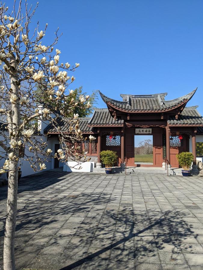 High Point Guesthouse - Next To Seattle Chinese Garden ภายนอก รูปภาพ