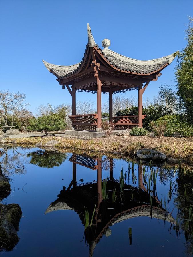 High Point Guesthouse - Next To Seattle Chinese Garden ภายนอก รูปภาพ
